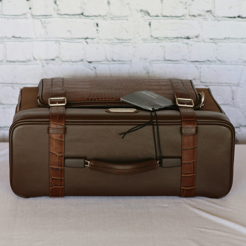 Samsonite Alexander McQueen Carry on Leather Bag
