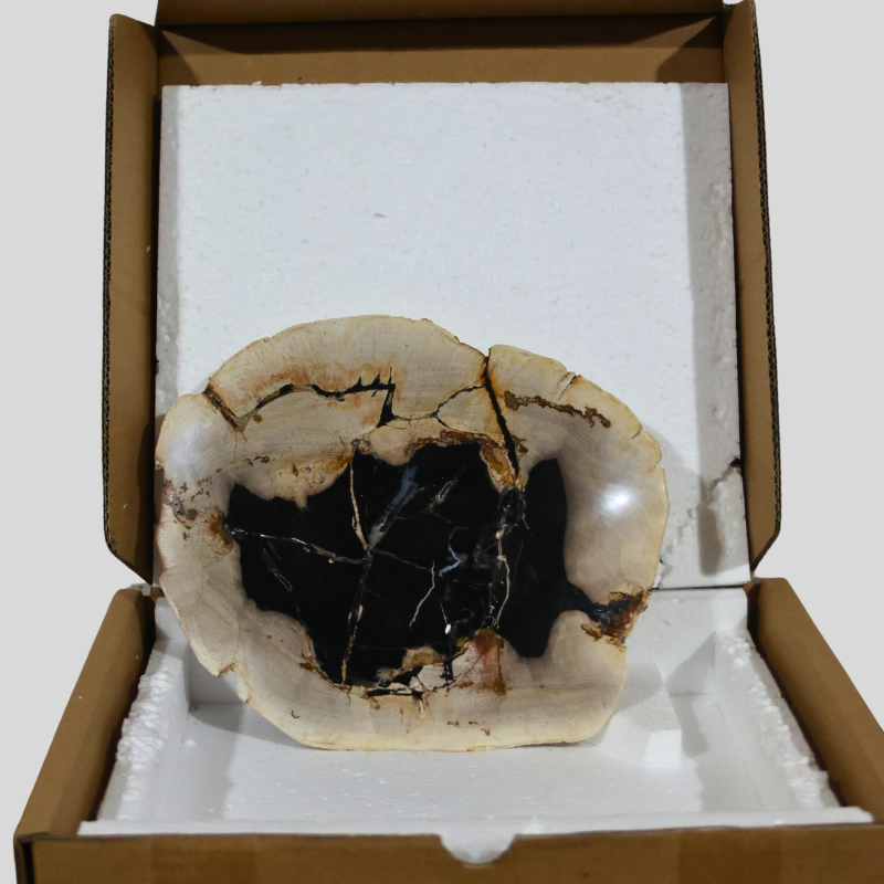 Kalifano Decorative Petrified Plate