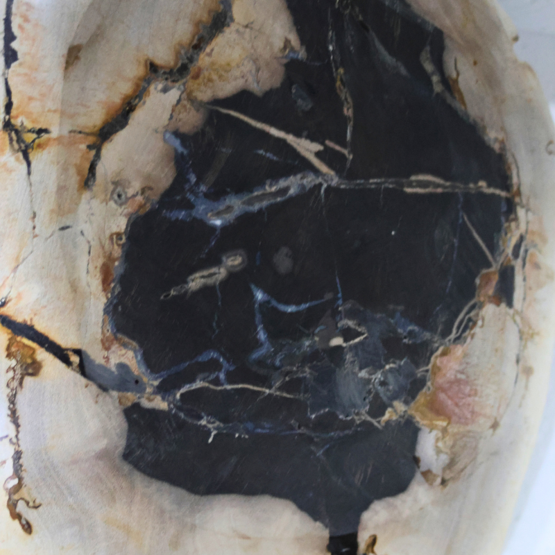 Kalifano Decorative Petrified Plate