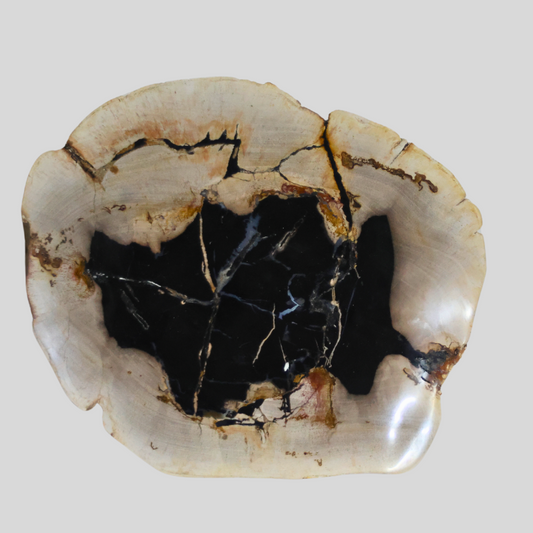 Kalifano Decorative Petrified Plate