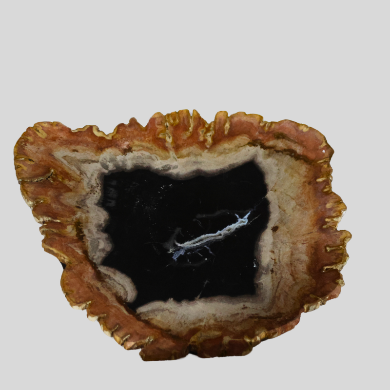 Kalifano Decorative Petrified Plate