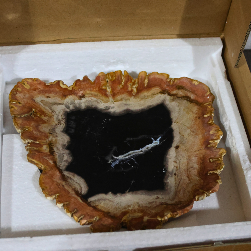 Kalifano Decorative Petrified Plate